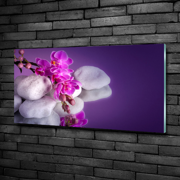 Glasbild Orchidee
