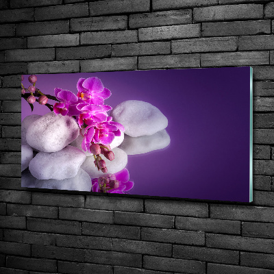 Glasbild Orchidee