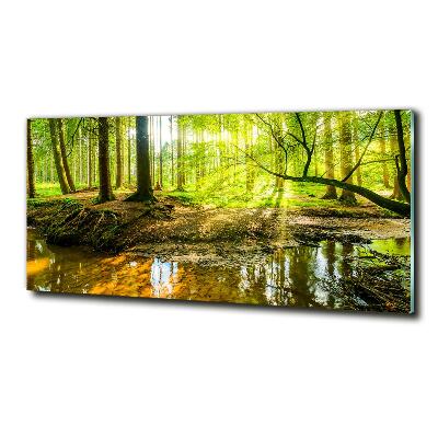 Glasbild Ein Teich im Wald