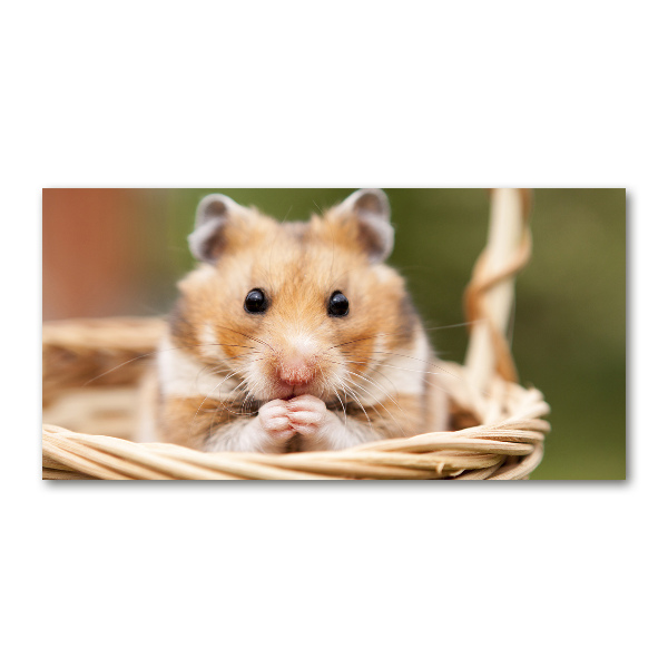 Glasbild Hamster im Korb
