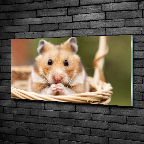 Glasbild Hamster im Korb