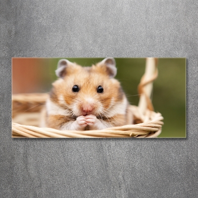 Glasbild Hamster im Korb