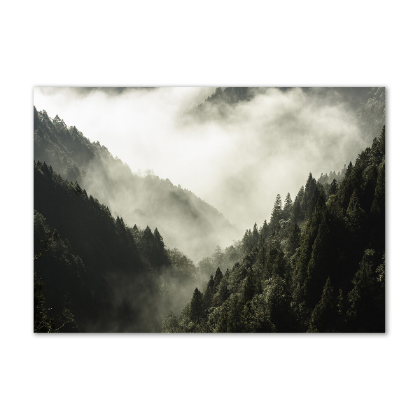 Foto glasbild Nebel über dem Wald