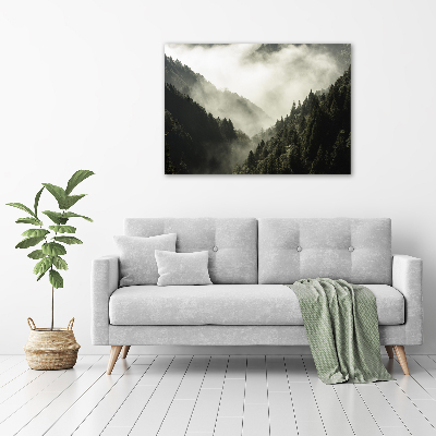 Foto glasbild Nebel über dem Wald