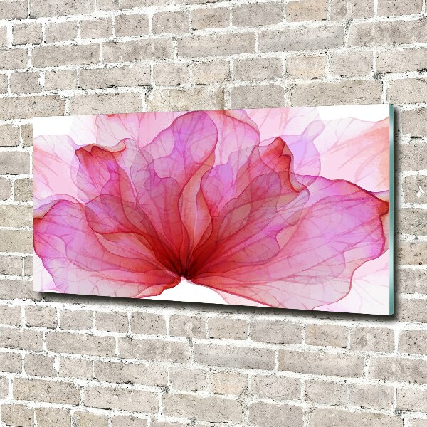 Foto glasbild Rosa Blume