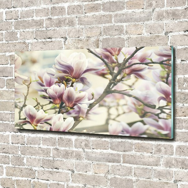 Glasbild Magnolie