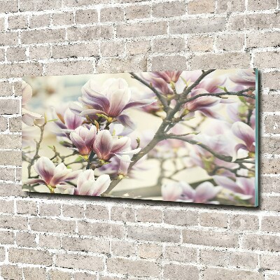 Glasbild Magnolie
