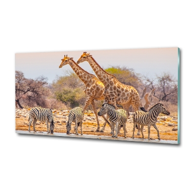 Glasbild Giraffen und Zebras