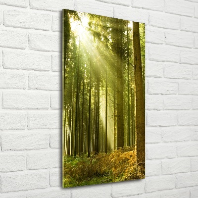 Glasbild vertikales Die Sonne im Wald