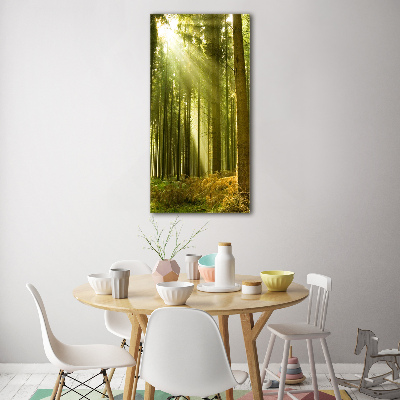 Glasbild vertikales Die Sonne im Wald
