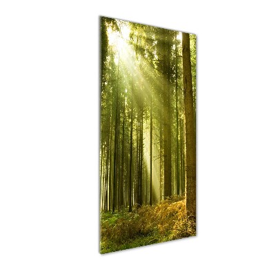 Glasbild vertikales Die Sonne im Wald
