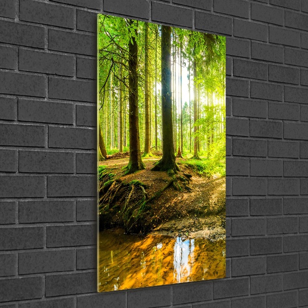 Foto auf glas vertikales Die Sonne im Wald