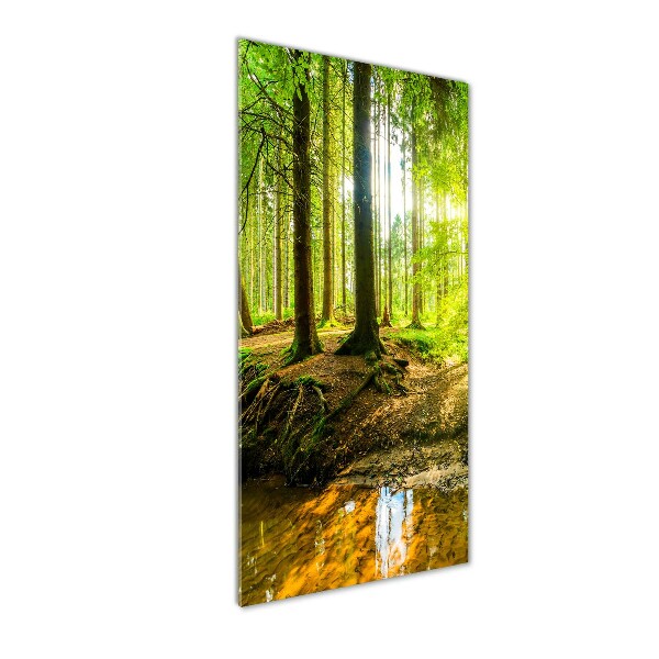 Foto auf glas vertikales Die Sonne im Wald