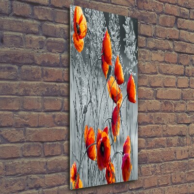 Glasbild vertikales Feldmohn