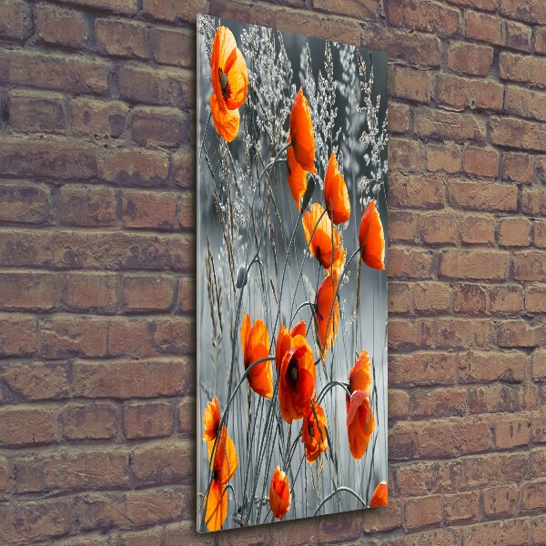 Bild aus glas vertikales Feldmohn