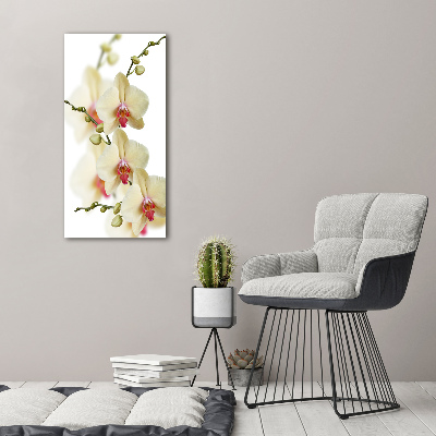 Glasbild vertikales Orchidee