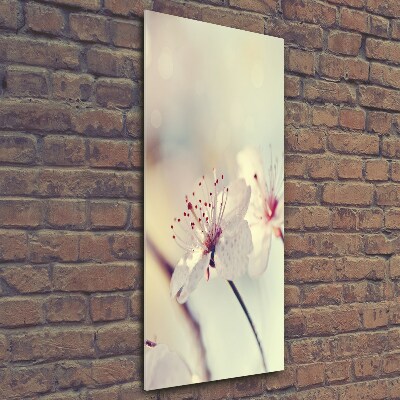 Glasbild vertikales Kirschblüten