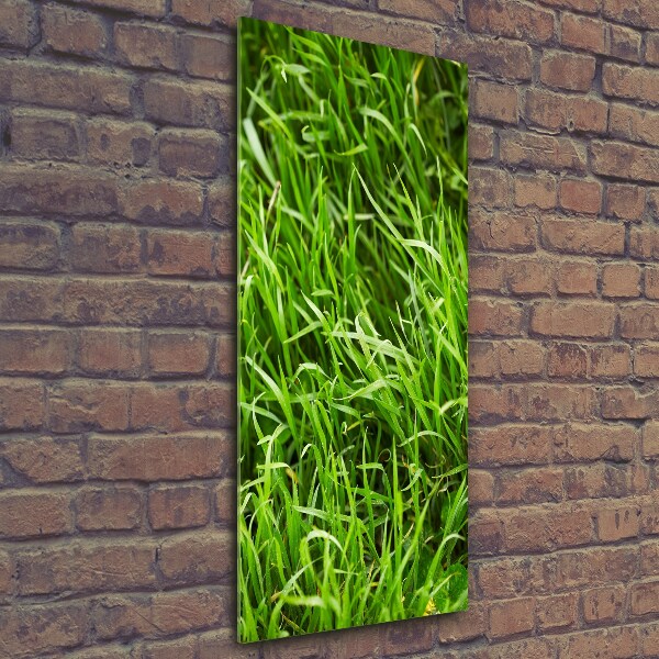 Foto auf glas vertikales Gras