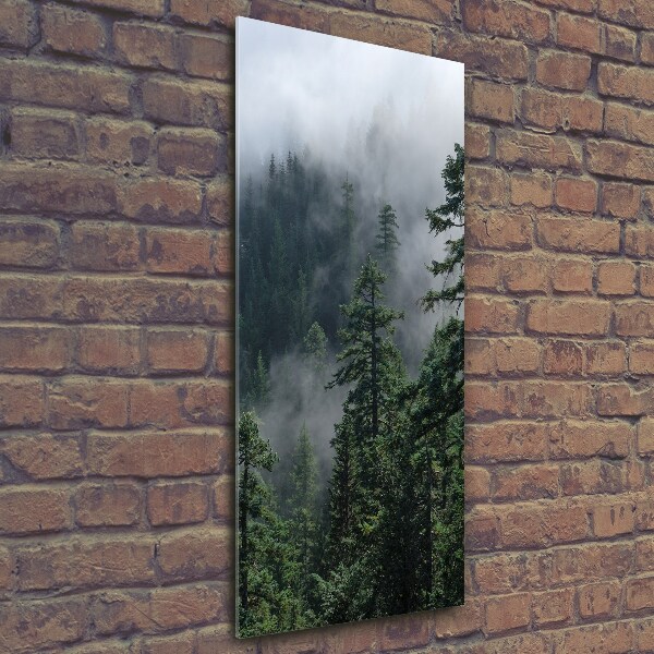 Glasbild vertikales Nebel über dem Wald
