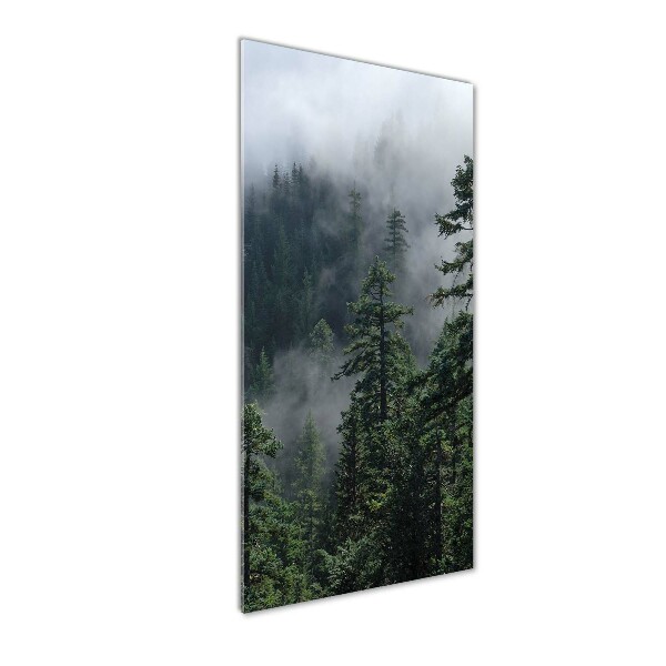 Glasbild vertikales Nebel über dem Wald