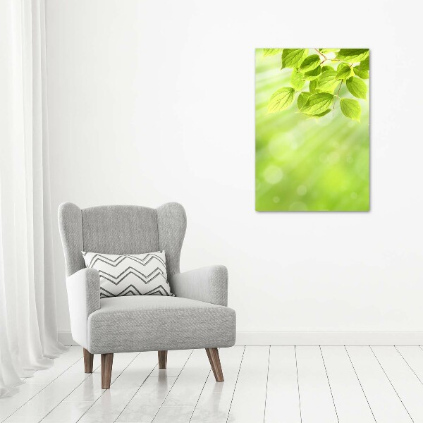 Foto auf glas vertikales Grüne Blätter