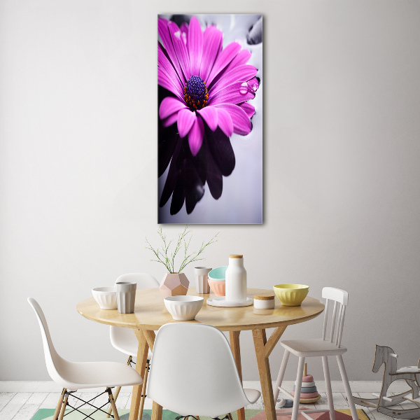 Foto auf glas vertikales Rosa Gerbera