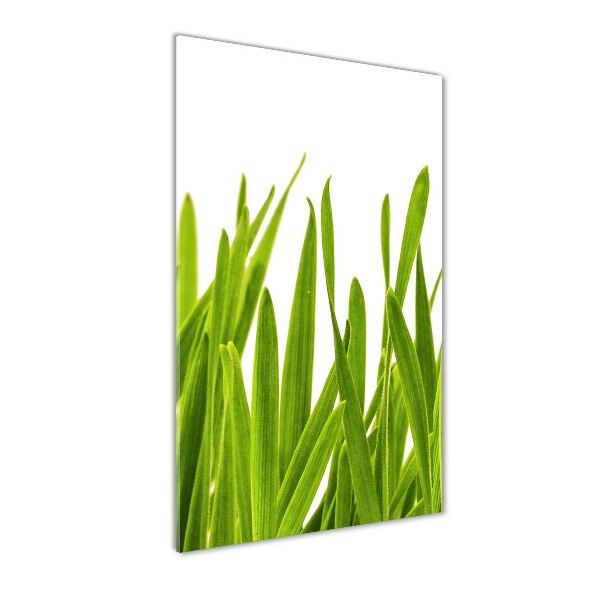 Glasbild vertikales Grünes Gras