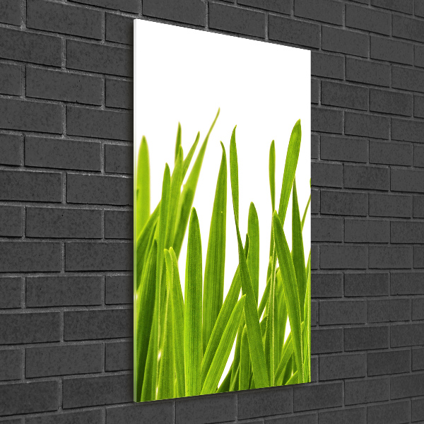 Glasbild vertikales Grünes Gras