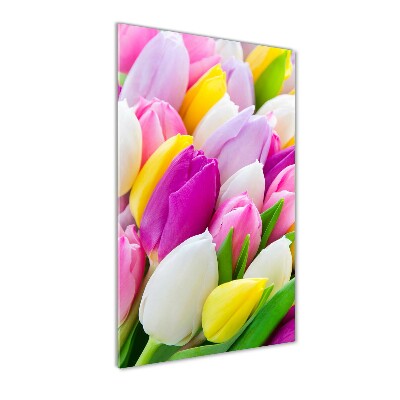 Bild aus glas vertikales Bunte Tulpen