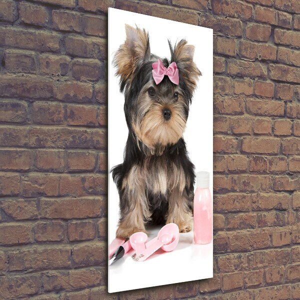 Glasbild vertikales Yorkshire Kosmetik