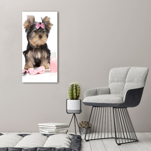 Glasbild vertikales Yorkshire Kosmetik