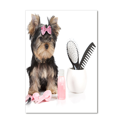 Glasbild vertikales Yorkshire Kosmetik