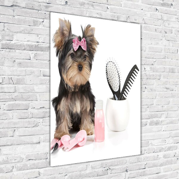 Glasbild vertikales Yorkshire Kosmetik