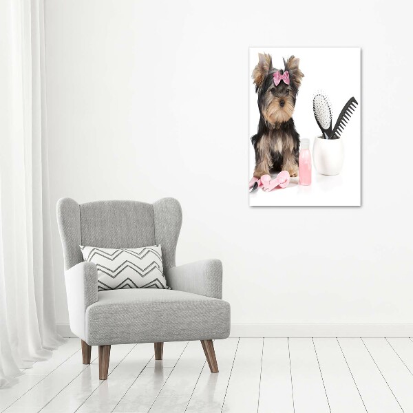 Glasbild vertikales Yorkshire Kosmetik