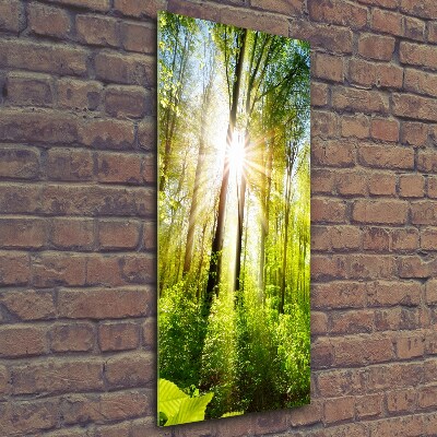 Glasbild vertikales Die Sonne im Wald