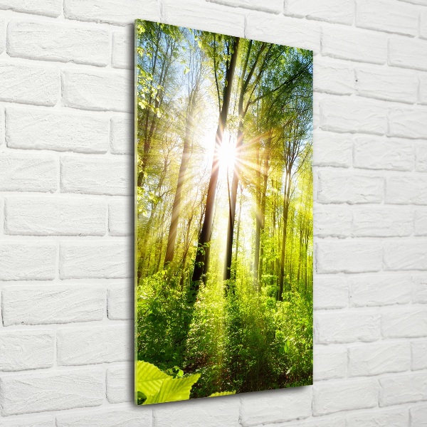 Glasbild vertikales Die Sonne im Wald