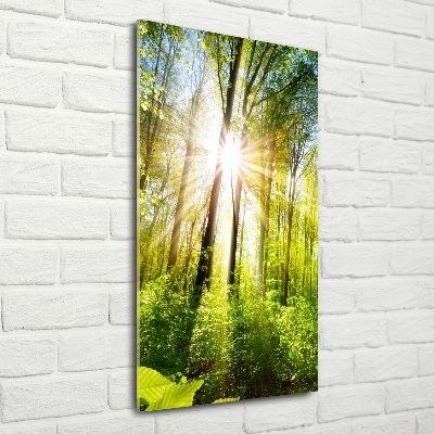 Glasbild vertikales Die Sonne im Wald