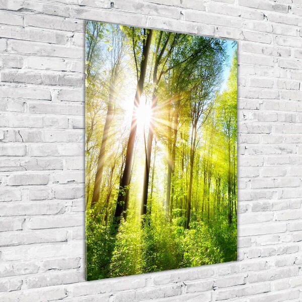 Glasbild vertikales Die Sonne im Wald