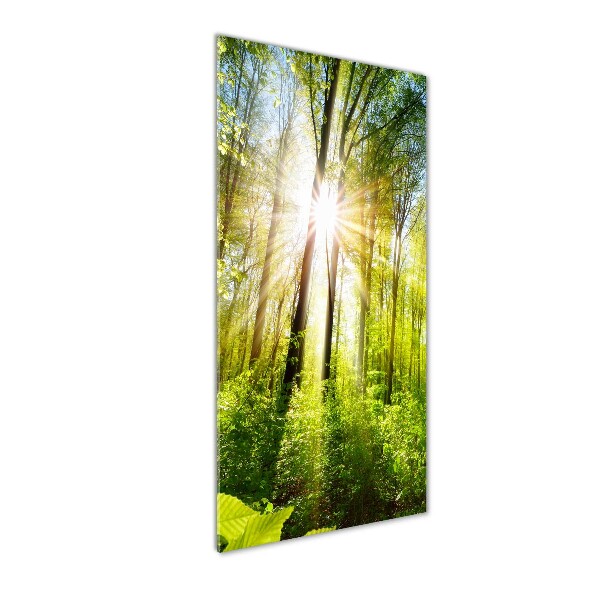 Glasbild vertikales Die Sonne im Wald
