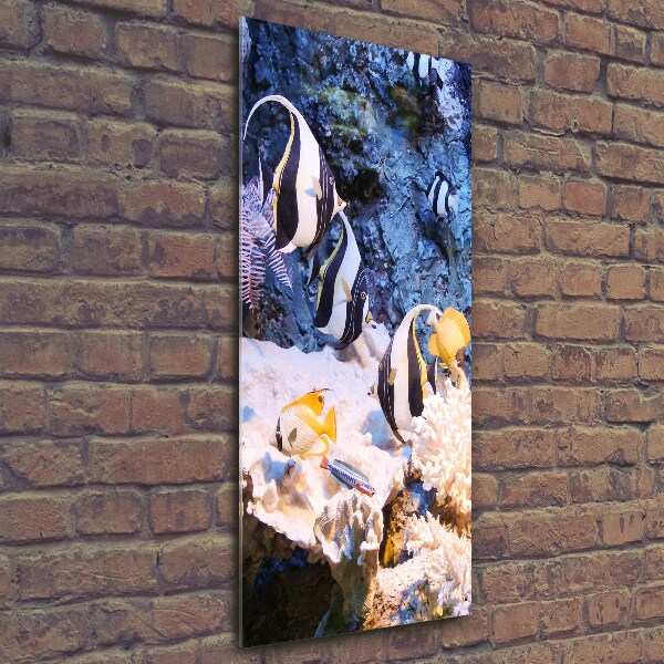 Foto auf glas vertikales Korallenriff