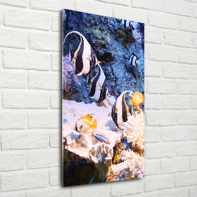 Foto auf glas vertikales Korallenriff