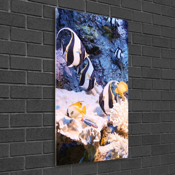 Foto auf glas vertikales Korallenriff