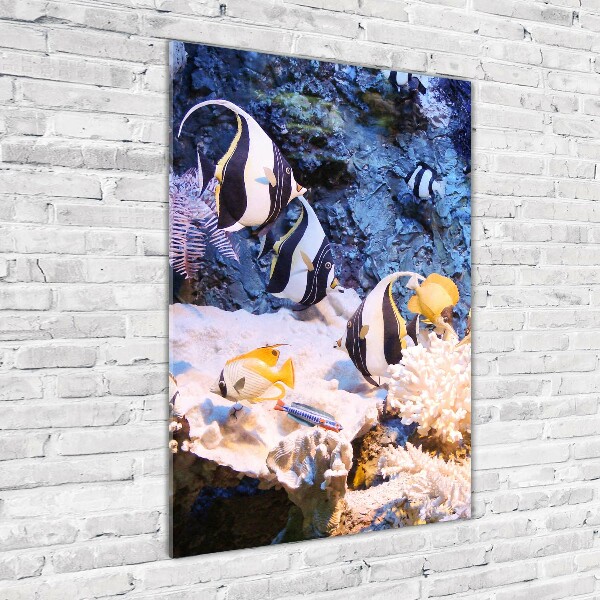 Foto auf glas vertikales Korallenriff