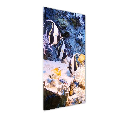 Foto auf glas vertikales Korallenriff