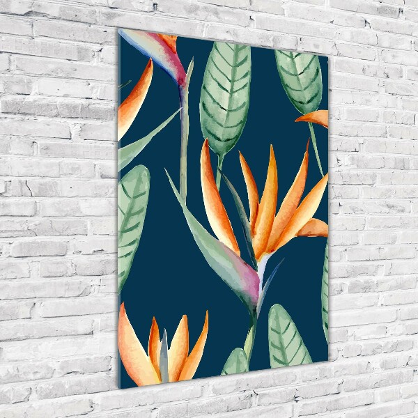 Foto auf glas vertikales Strelitzia reginae