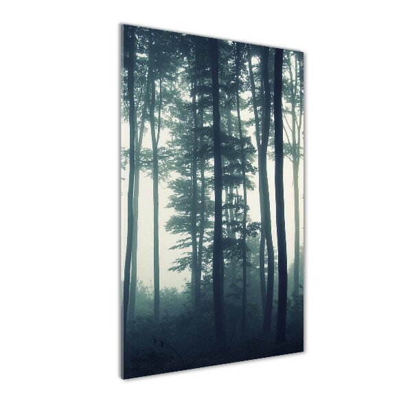 Glasbild vertikales Nebel im Wald