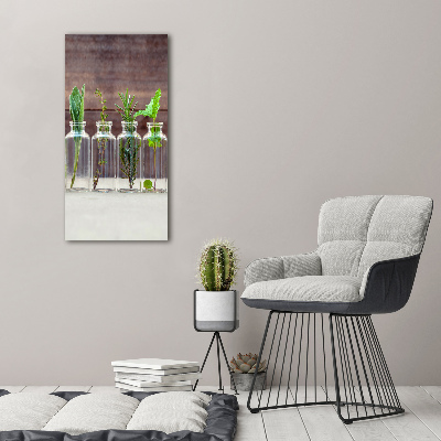 Glasbild vertikales Kräuter im Glas