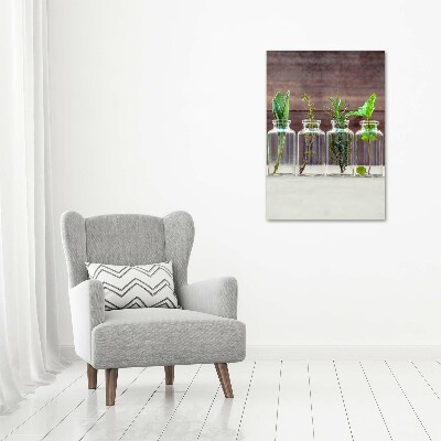 Glasbild vertikales Kräuter im Glas