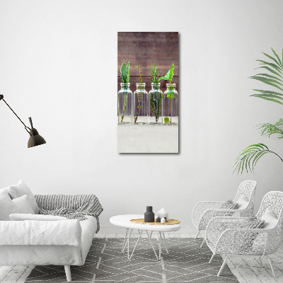 Glasbild vertikales Kräuter im Glas