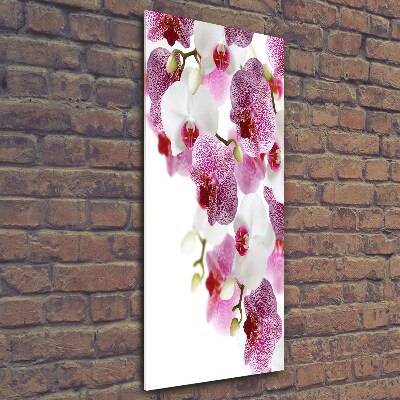 Glasbild vertikales Orchidee